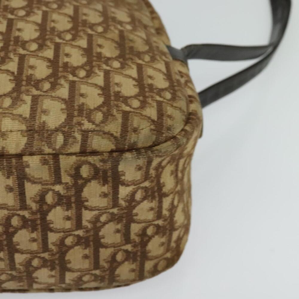 DIOR Trotter Canvas Shoulder Bag Brown - Picture 14 of 16